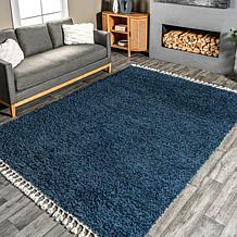 nuLOOM Neva Modern Tasseled 2' 6" x 6' Shag Area Rug