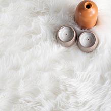 nuLOOM Rodolfo Solid Shag 4' x 6' Area Rug 