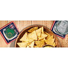 Officially Licensed MLB 3D StadiumViews Coaster Set - Minnesota Twins
