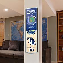Officially Licensed MLB Tampa Bay Rays 3D Stadium Banner