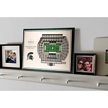 Officially Licensed NCAA 5-Layer StadiumViews Art - MI State Spartans 