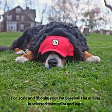 Officially Licensed NCAA Ohio State University Pet Baseball Hat