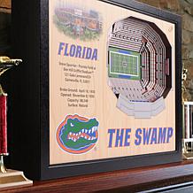 Officially Licensed NCAA Stadium Wall Art  - Florida Gators