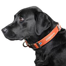 Officially Licensed NFL Miami Dolphins Premium Pet Collar
