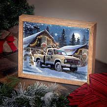 Officially Licensed NFL Sporticulture LED Lite Box