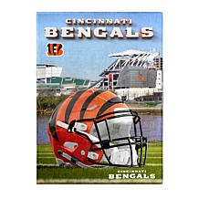 Officially Licensed NFL Stadium View 90" x 66" Throw
