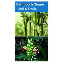 Perlier Bamboo & Ginger 1L Bath and Shower Gel 2-pack