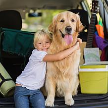 PETMAKER Bi-Fold Pet Ramp