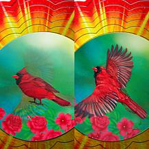 Plow & Hearth Holographic Illusion Spinner - 2-pack