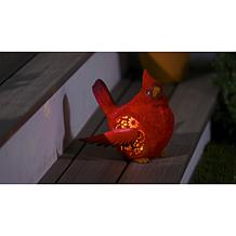 Plow & Hearth Solar Resin Bird Garden Decor