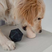 Power Duo Toy Set for Dogs - Beige & Black