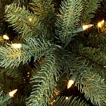 Puleo 9 ft. Pre-Lit Green Mountain Fir Artificial Christmas Tree