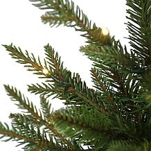 Puleo International 2' B/O Potted Tree w/ 20 Warm White LED Lights