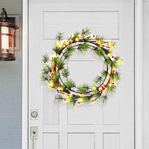 Puleo International 24" Pre-Lit Wreath w/ Glitter, 80 Warm LED Lights