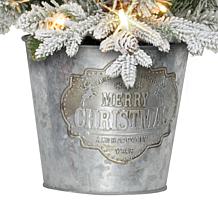 Puleo International 3' Pre-lit PVC Potted Flocked Tree
