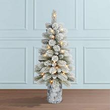 Puleo International 3.5' Potted Flocked Norwegian Pine Tree