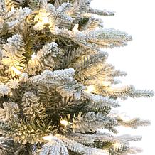 Puleo International 6' Pre-lit Potted Flocked Arctic Fir Tree 