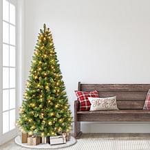 Puleo International 6.5' Pre-lit Virginia Pine Tree 