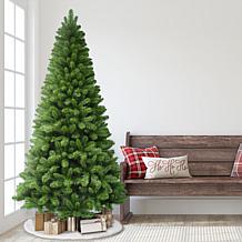 Puleo International 7½ ft.  Virginia Pine Tree, 1108 Tips