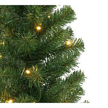 Puleo International Set of 2 3.5' Potted Pre-lit Trees 35 White LEDs