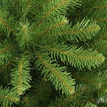 Puleo Intl. 5' Fraser Fir Artificial Christmas Tree with Stand, Green