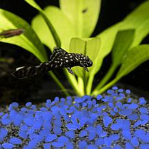 Pure Garden Glow in the Dark Solar Pathway Pebble Lights - 500-Count