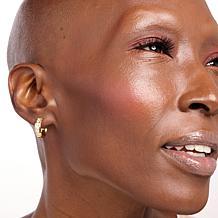 Radiance by Absolute™ Stainless Steel In Line Hoop Earrings