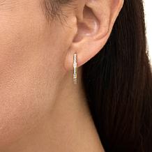 Rarities Gold-Plated 1/3ctw Diamond Huggie Hoop Earrings