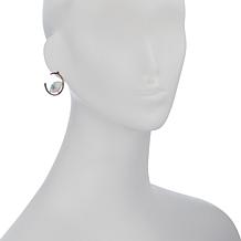 Rarities Sterling Silver Onyx and Multi-Gemstone Mismatch Earrings