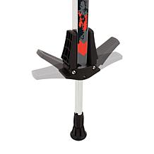 Razor GoGo Pogo