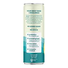 Recoup 12-pack Lemon Lime Organic Beverage with Ginger Auto-Ship®