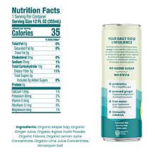 Recoup 12-pack Lemon Lime Organic Beverage with Ginger