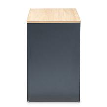 Reed 2-Drawer Multicolor Wood Computer Desk