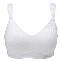 Rhonda Shear 2-pack Molded Cup Bra with Jacquard Print