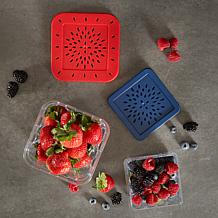 RSVP Set of 2 Berry Keepers