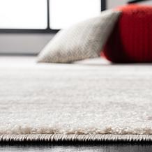 Safavieh Adirondack Jaelynn Rug - 8' x 8' Square