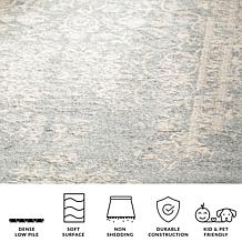 Safavieh Adirondack Regina 2-1/2' x 10' Rug