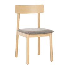 Safavieh Lizette Retro Dining Chair 2-pack