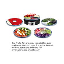 Salton Food Dehydrator