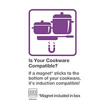 Salton Portable Induction Cooktop