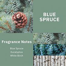 ScentWorx by Slatkin + Co. 2-Pack 14.5 oz. Blue Spruce Candles