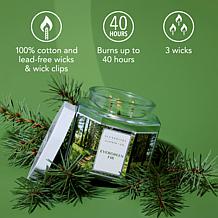 ScentWorx by Slatkin + Co. 2-Pack 14.5 oz. Evergreen Fir Candles