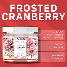 ScentWorx by Slatkin + Co. 2-Pack 14.5 oz. Frosted Cranberry Candles