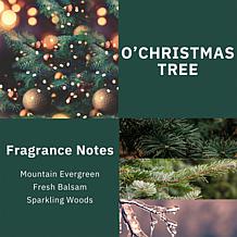 ScentWorx by Slatkin + Co. 2-Pack 14.5 oz. O' Christmas Tree Candles