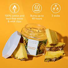 ScentWorx by Slatkin + Co. Pineapple Passion Candle & Hand Soap Set