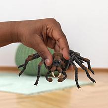 Schleich Wizarding World of Harry Potter: Aragog - Collectible