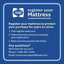 Sealy 13.5" Hotel Collection Euro Pillow Top Cal King Mattress