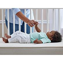 Sealy Soybean Dream Crib and Toddler Mattress