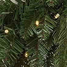 Seasonal LLC Palmetto Pine 24" Lit Green Wreath with Remote Control