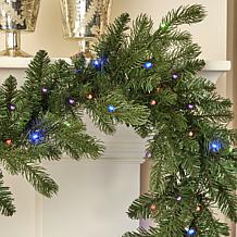 Seasonal LLC Palmetto Pine 6' Pre-Lit RGBW Garland w/Remote Control